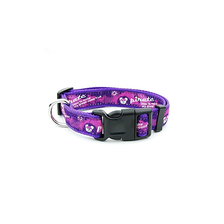 Purple Nylon Collar Leash Set