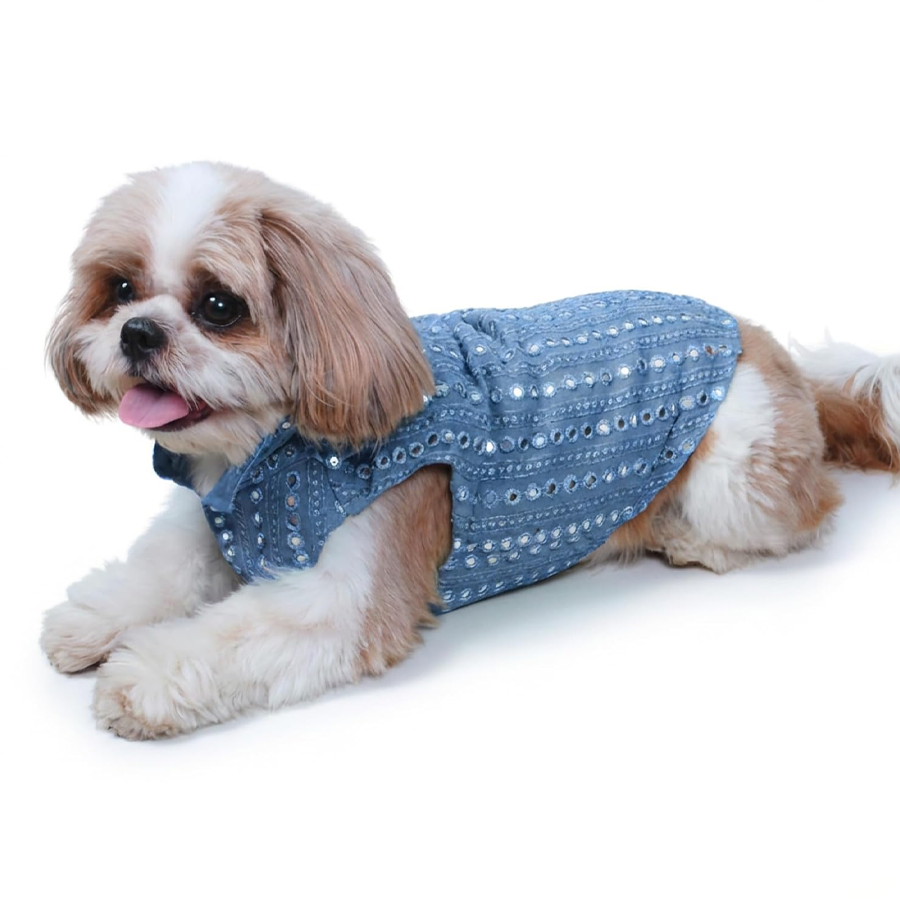 Pet Bark Lively Studio Signature Range