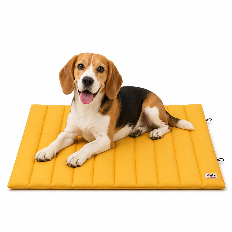 Portable Foldable Water Resistant Pet Mat