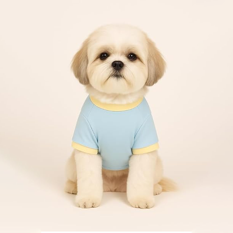 Comfort Pawprint Wellness Fresh Modern Companion